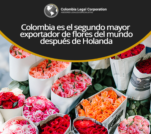 Flores de Exportación en Colombia