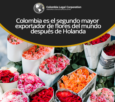 Flores de Exportacin en Colombia